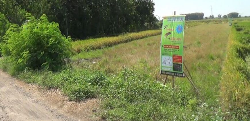 Tanah Kavling Trusmi